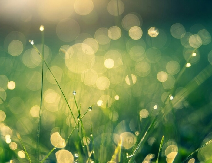 Оздоровительная плюс - Санаторий «им. Лермонтова» Пятигорск