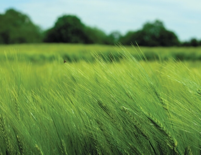 Программа по реабилитации после COVID-19 - Санаторий «им. Лермонтова» Пятигорск