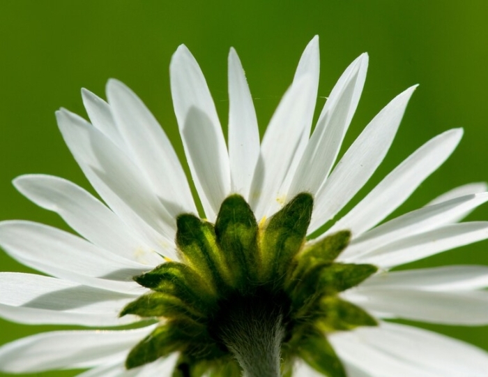 Расширенная - Лечебные программы - Санаторий «им. Лермонтова» Пятигорск